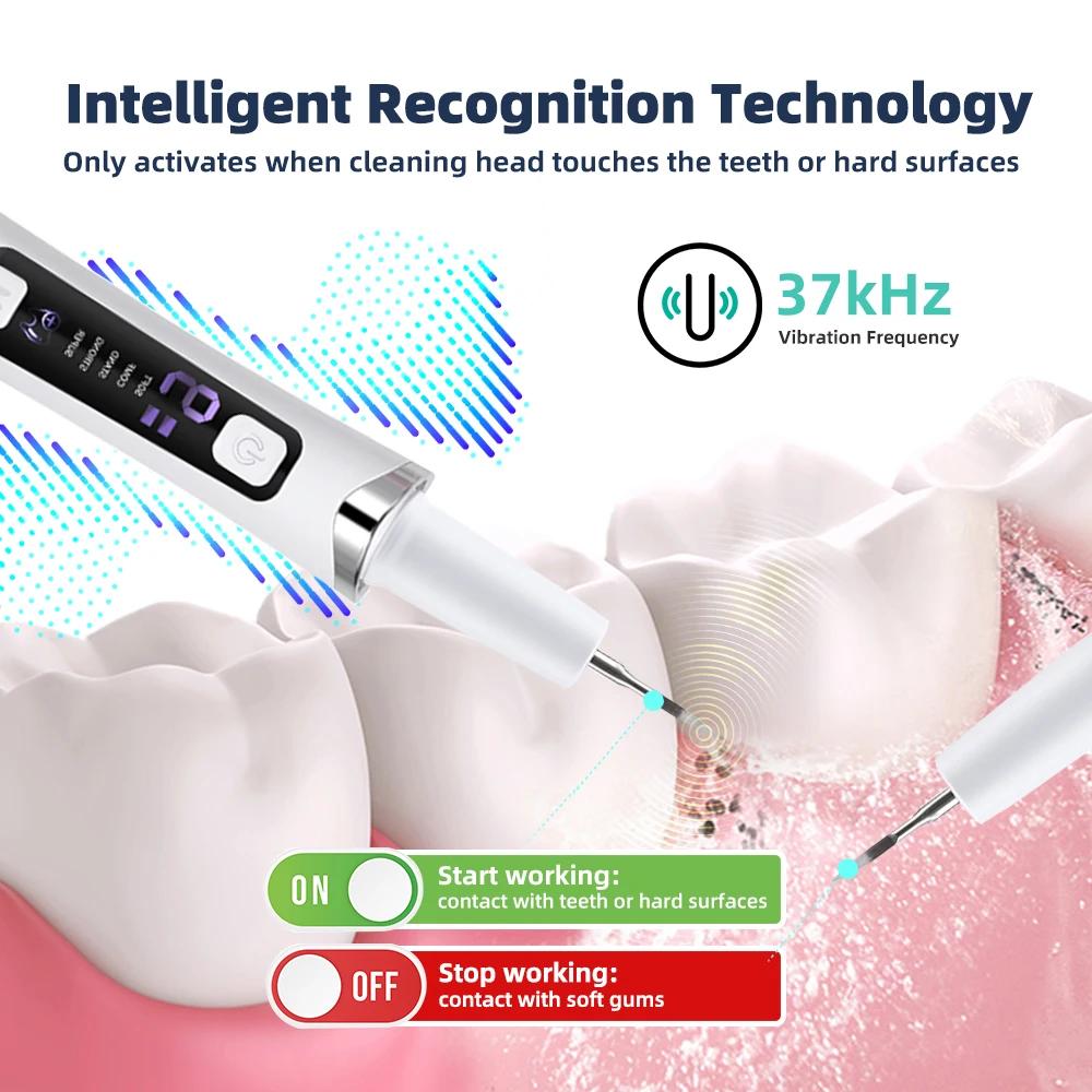 Household Dental Ultrasonic Scaler with 2 Tips Tooth Calculus Remover Cleaning Tool Handpiece Whiten Tooth Cleaner Dentist Tools