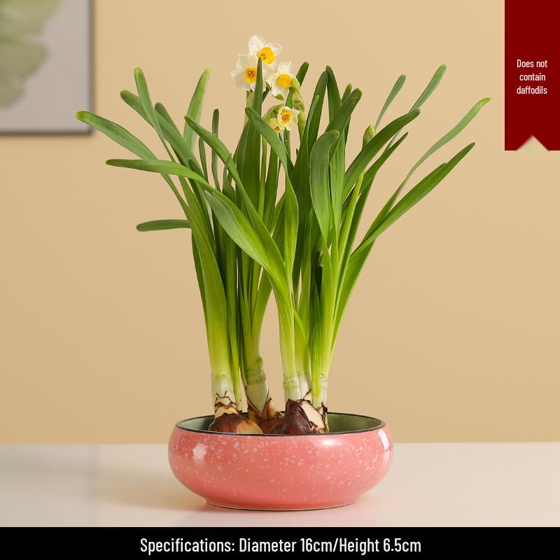Großer Keramik-Lotus Seerose Hydroponischer Blumentopf ohne Abfluss