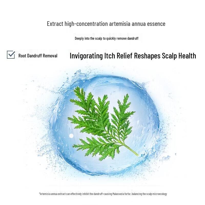 Conquer Ginger & Artemisia Oil Control Shampoo