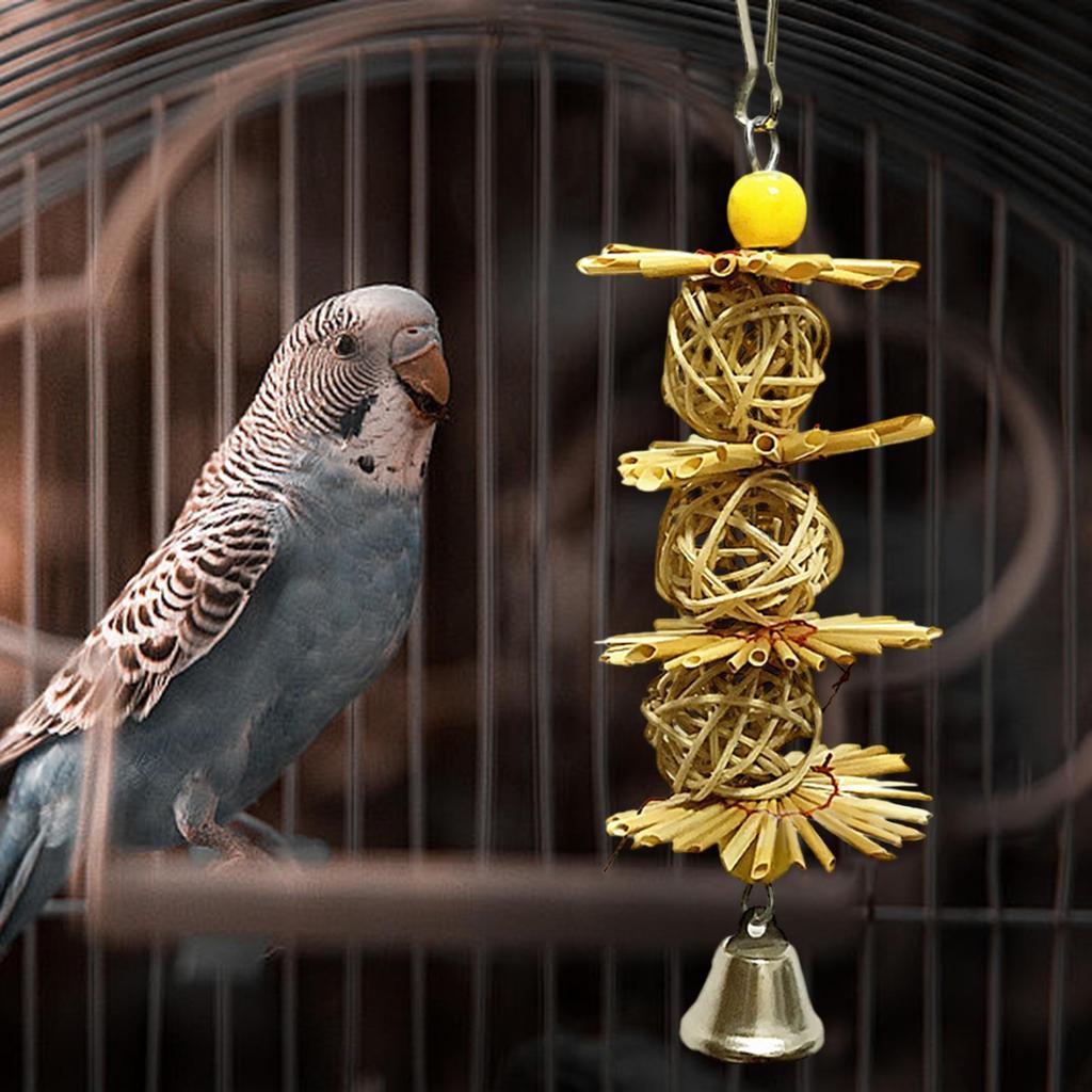 Chewing Toy for Small Parrots And Conures