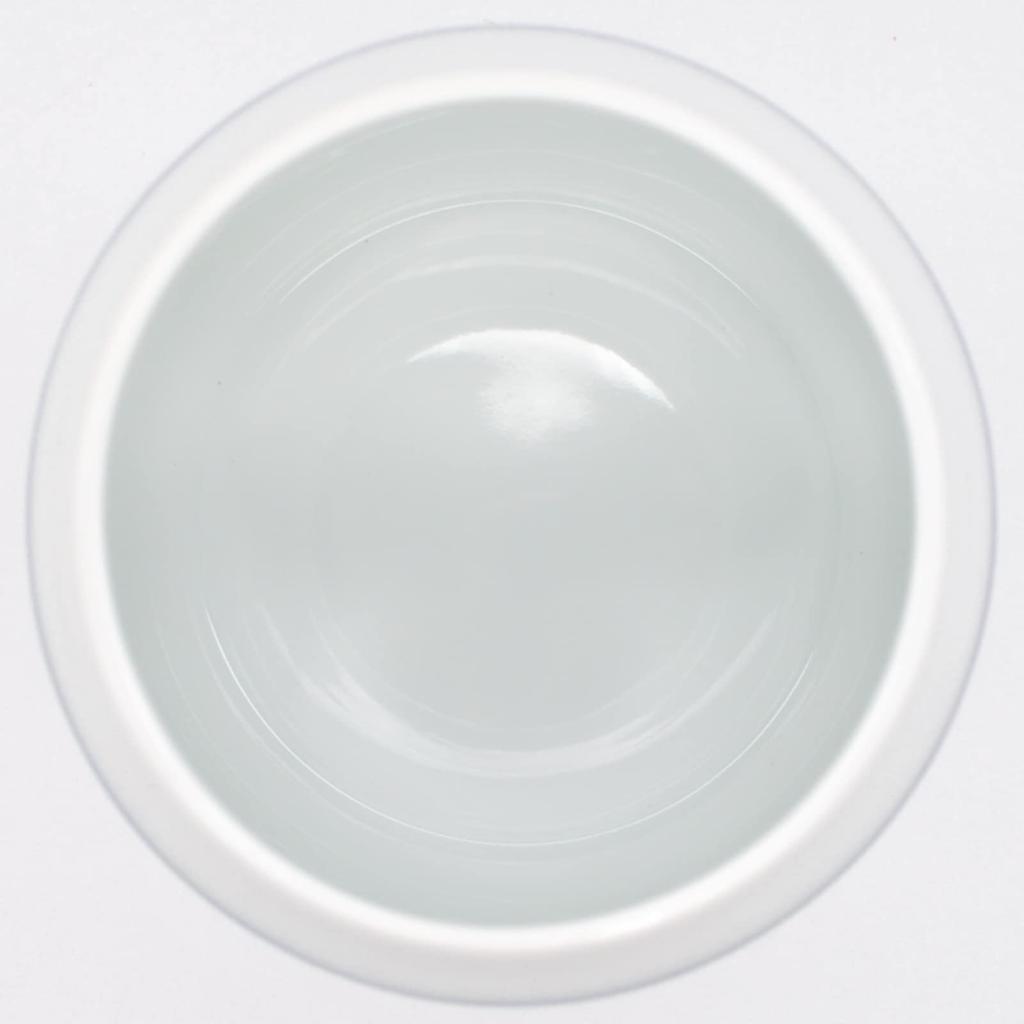 Nishikai Toki Hasami Ware Storage Container Majolica Pattern 73450 (Preservation Pottery) (Large)