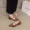 French Temperament Medium High Heel Black Pointed Single Shoes Women's Shoes 2025 New Spring and Autumn Winter Mary Jane Evening Shoes