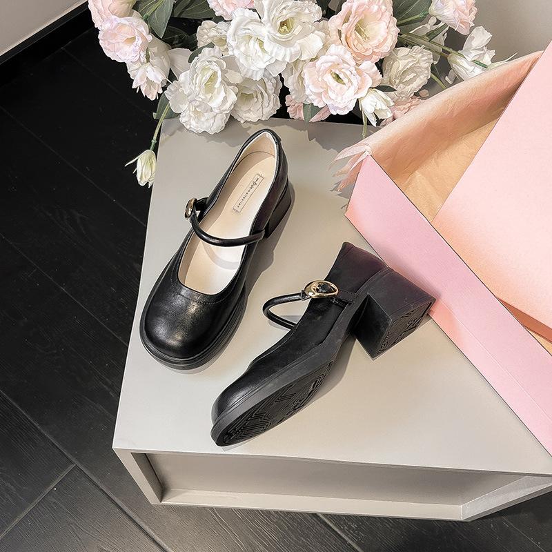 Platform Mary Jane Women's Shoes High Heels Retro Small Leather Shoes Single Shoes Women