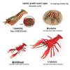 Children's Aquarium Shrimp & Lobster Simulation Set