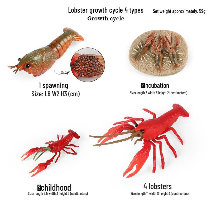 Children's Aquarium Shrimp & Lobster Simulation Set