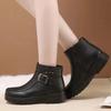 Fashion Winter Women Leather Ankle Boots Female Thick Plush Warm Snow Boots Mother Waterproof Non-slip Booties Botas De Mujer