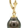Earrings - Pearls & Colors - Genuine Tahitian Pearls - 8-9 Mm - Yellow Gold 375/1000 - Woman