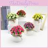 Plastic Mini Rose Potted Plant Bonsai For Wedding Photography And Home Decor