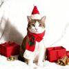 2Pcs/Set Winter Dog Scarf Collar Christmas Cat Scarf Hat Cozy Dog Bandana Scarf for Small Dogs