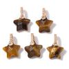 2PCS Natural Yellow Tiger Eye Stone Pendant Heart Star Drop Shape Symbolizing bravery and wealth protection Amulet Healing Charm
