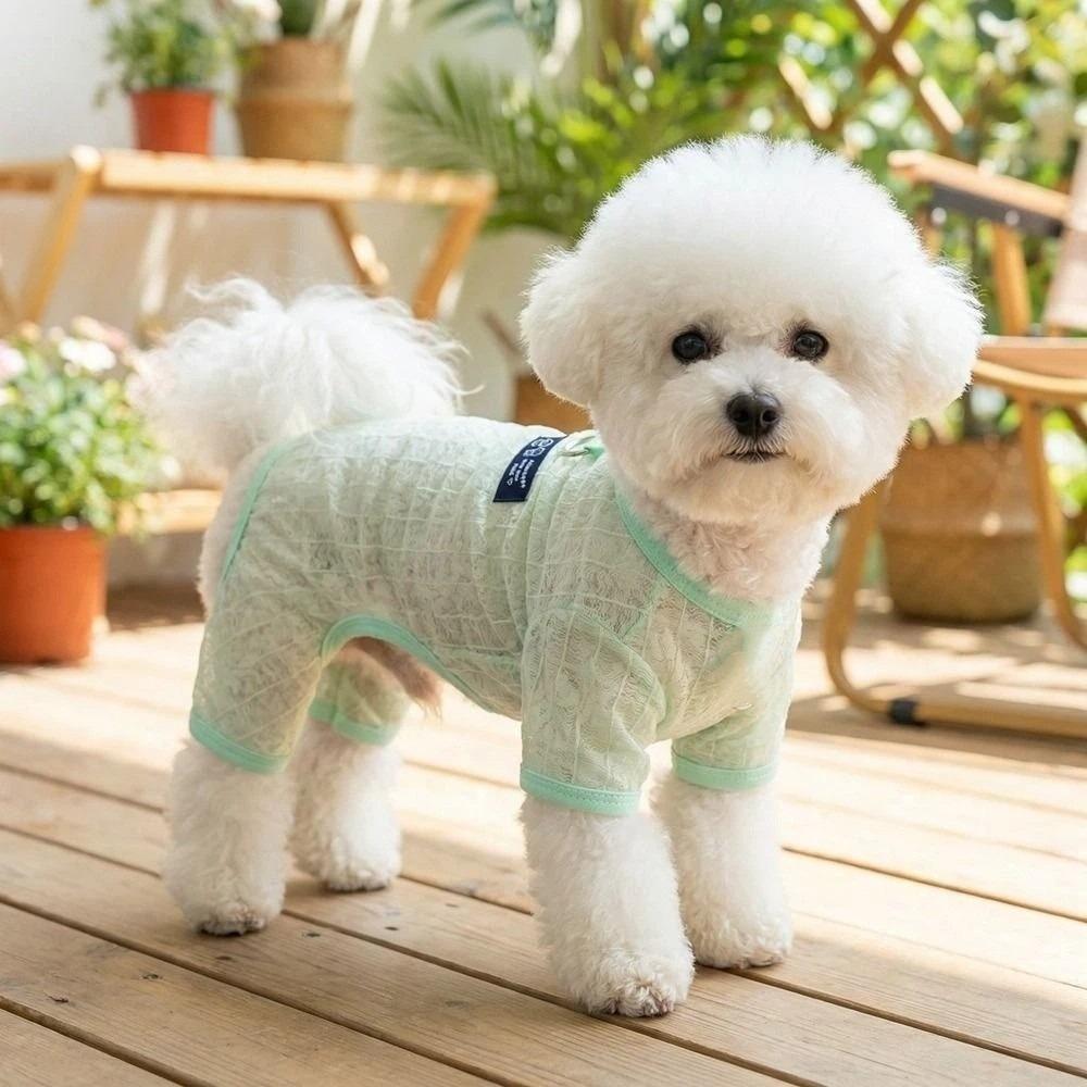 Hollow Mesh Dog Clothes Breathable Dog Outfit Pet Four-legged Wear  Indoor Outdoor Use