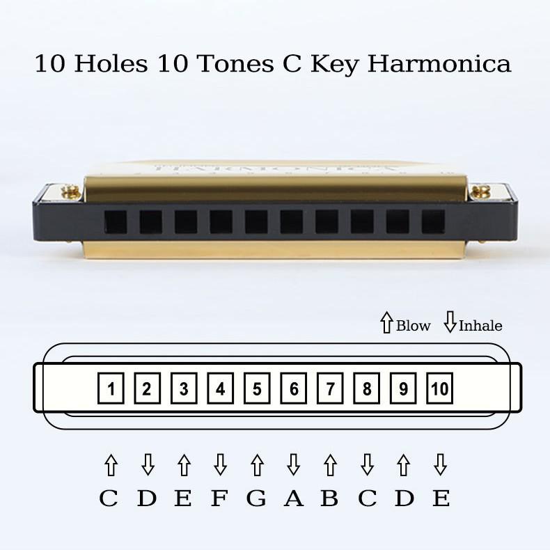 Professional Ten-Hole Metal Harmonica - Alloy Toy Musical Instrument