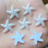 80pcs 18mm DIY Resin Sky Blue Flatback Starfish Star Mobile Phone Decoration Wedding Decoration A088