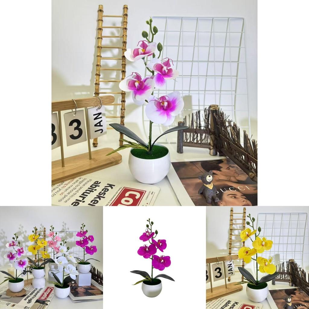 Artificial Orchid Plant With Colorful Blooms For Wedding Balcony And Patio Decoration