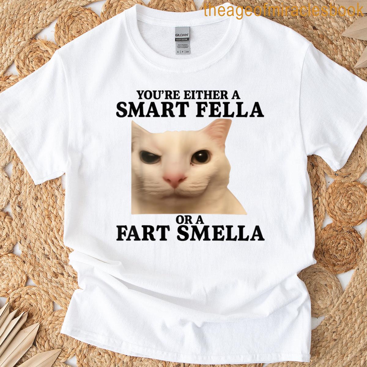 Mens Black TShirt Youre Either A Smart Fella Or A Fart Smella Cat Meme Graphic TShirt S4XL Funny Gifts for Men XL