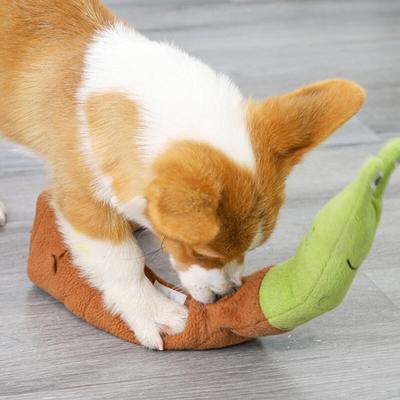 Cães – Brinquedos para cães