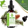 Pure Herbs Black Spruce (Picea Mariana) Pure & Natural Therapeutic Grade Essential Oil Plastic with Dropper
