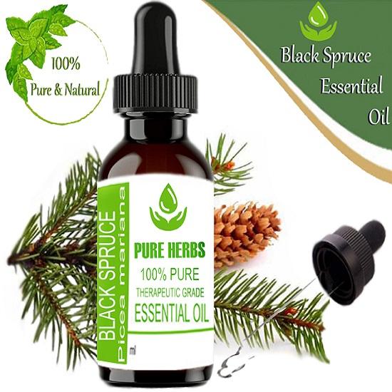 

Pure Herbs Black spruce (Picea mariana) Pure & Natural Therapeutic Grade Essential Oil Plastic with Dropper 10 ml