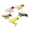 5pcs Insect Micro Bait Floating Fishing Lure Trout Lure Wobblers for Freshwater and Saltwater Fishing
