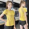 Women's Quick-Dry Mesh Slim Fit T-shirt