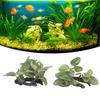 Pești și animale marine – Decorul acvariului
