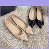 Professional Womens Pointed Toe Flat Shoes With Slipon Design For Daily Wear