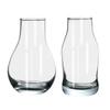 Clear Glass Vases For Flowers & Plants, Elegant Decorative Table Centerpieces