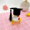 Felts Graduation Cap For Commencement Ceremony Party Photo Props And Costume Accessories Headwear for Degreeholders