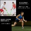 Reaction Ball Set of 2 Irregular Dynamic Table Instruction Manual Large and Small Balls [REONAS] Sizes, Balls, Reflexes, Vision, Agility, Baseball,