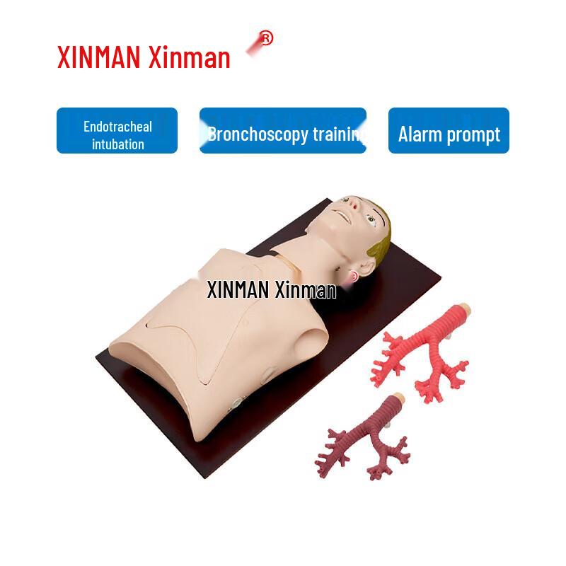 XINMAN Fiber Bronchoscope Training Mannequin