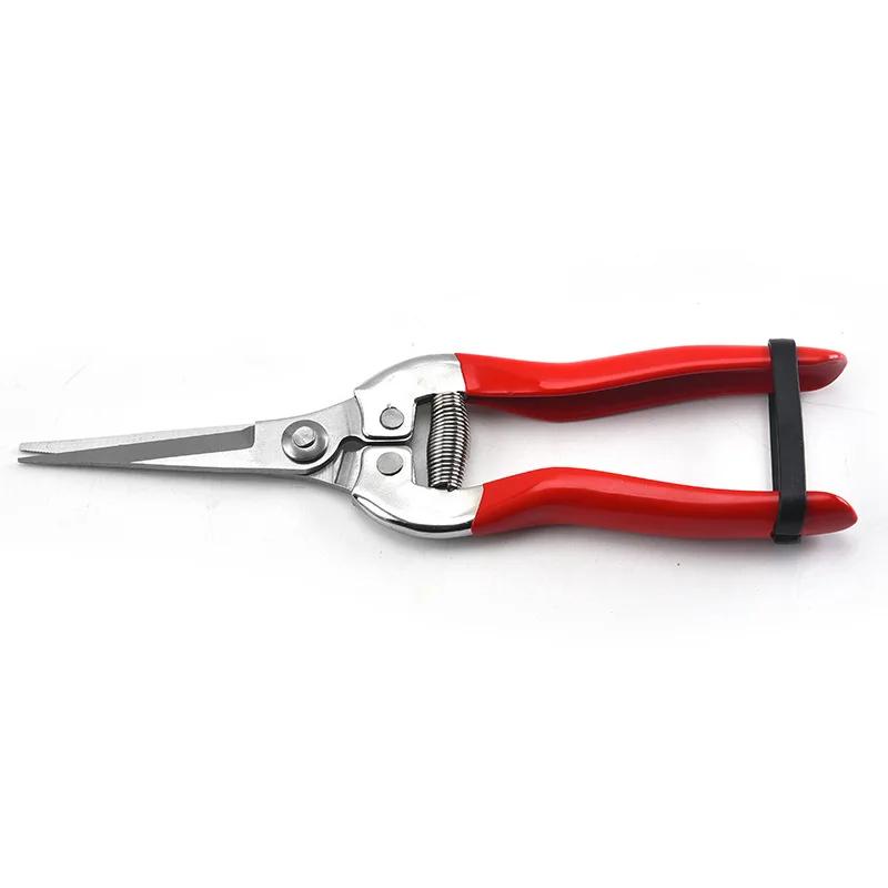 

Ретро Красные Ножницы для обрезки из нержавеющей стали Садовые ножницы Бытовые Ножницы для сбора фруктов Виноградные ножницы Инструменты для обрезки садовых веток 17cm
