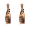 2Pieces Style Copper Bronze Wine Bottle Shaped Cabinet Wardrobe Door Drawer Pull Handle Grip Knob