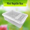 Reptile and Insect Transport & Breeding Box for Turtles, Lizards, Hermit Crabs, & Beetles.