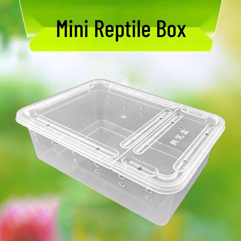 Reptile and Insect Transport & Breeding Box for Turtles, Lizards, Hermit Crabs, & Beetles.