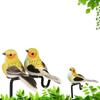 1 Piece Of Realistic Feathered Bird, Colorful Foam Bird, For Garden And Landscape Decoration, Craftwork.