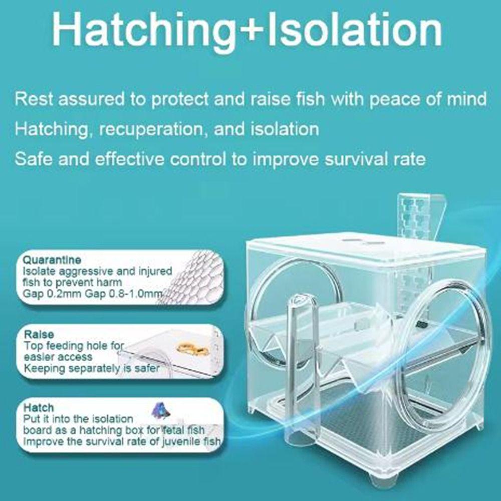 Transparent Fish Isolation Incubator Pneumatic Fish Egg Laying Room Fish Isolation Box  Shrimp