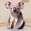 Simulation Jungle Animals Plush Panda, Tiger, Raccoon, Fox, Hedgehog, Kangaroo Pillows Soft Stuffed Cushion Sofa Decor Kids Gift