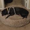 Super Soft Long Plush Pet Furniture Dogs House Cat's Beds Plush Pet Bed Round Mat for Small Medium Pet Accessories