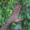 Long Rhinestone Fishnet Gloves for Women Sparkly Mesh Elbow Length Gloves for Rave Party Halloween Wedding Costume Accessories