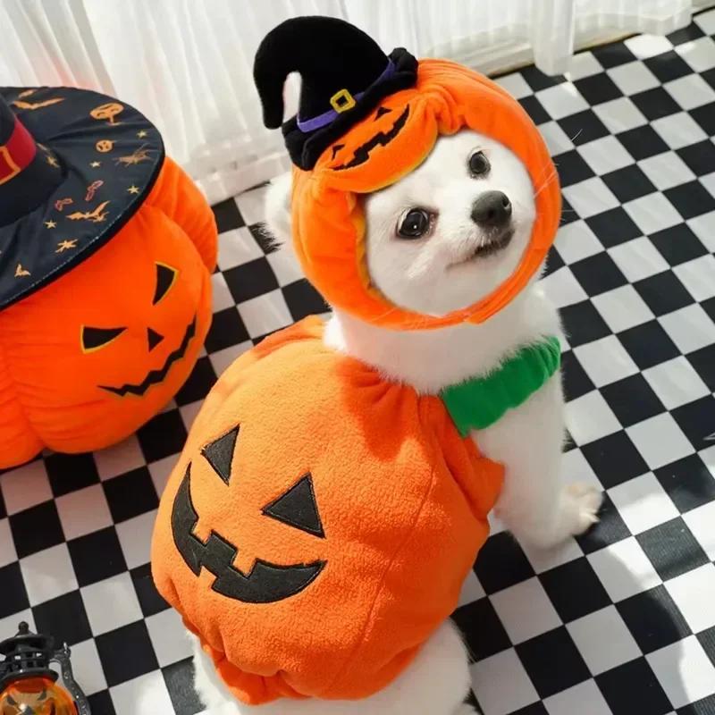 Funny Halloween Dog Costume Pumpkin Lantern Transformation Outfit with Cute Pumpkin Hat Two-Legged Pet Jacket for Dogs And Cats
