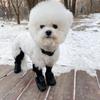 Breathable Dog Suspender Boots Waterproof Pets Paws Protector Anti-Slip Dog Shoes  Rain Day