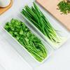 Fresh Box Refrigerator Storage Boxes Scallions Food Container with Lid Cold Crisper Sealed Kitchen Fresh Fruit Fridge Organiser