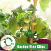 Wholesale Green Plant Support Clips Garden Vine Strapping Fixing Clip for Climbing Tomato Grape Vegetables Stalk Holders Buckle
