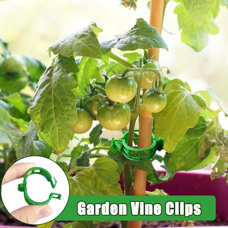 Wholesale Green Plant Support Clips Garden Vine Strapping Fixing Clip for Climbing Tomato Grape Vegetables Stalk Holders Buckle