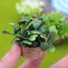 Miniatur-Bonsai-Pflanzen-Requisiten Topfpflanzen-Dekoration Künstliche Grüne Pflanzen für Puppenhaus Schreibtischregal Mini-Heimdekorationen Miniatur-Bonsai-Töpfe