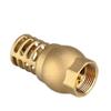 Strong Metal Brass Foot Valve Female Thread Check Valve Strainer Filter  Complete Specifications