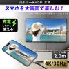 SEIWA HDMI Conversion Cable USB Type C to HDMI [Cable