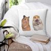 Vredesteken en Schreeuwende Hamster Vierkante Kussensloop Kussenhoes Kussensloop Sierkussenhoes voor Huisbank Woonkamer