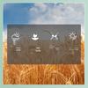 Jinshahe Royal Wheat Flour