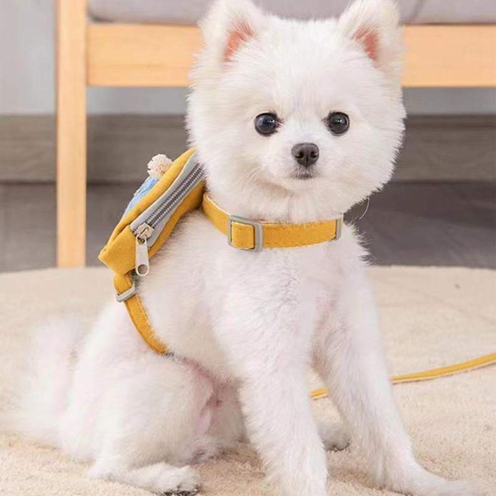 Escape Proof Dog Leash Adjustable Small Dog Harness Cute Star Pattern Dog Harness  Street Walk
